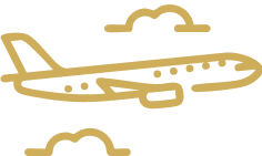 Icon - 100+ Airlines